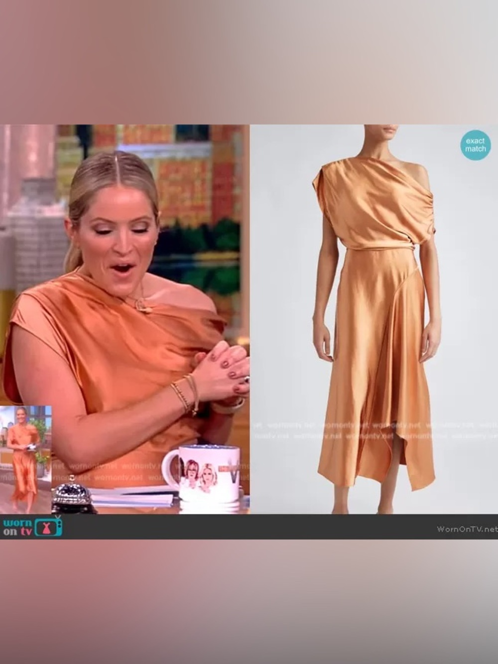 A.L.C. Jasmine Asymmetric Midi Dress in Sandstone 4 - Picture 9 of 9